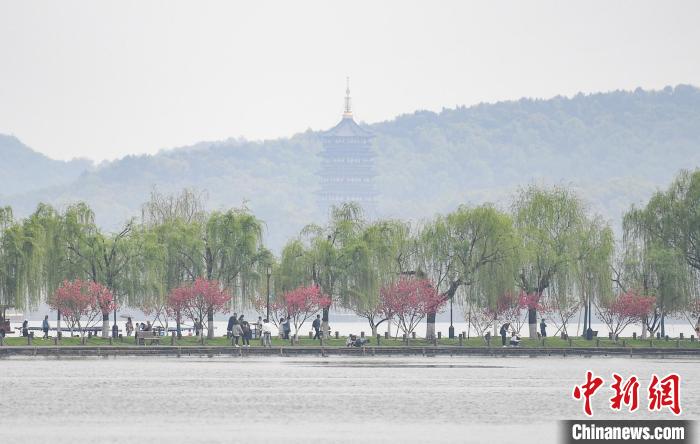 圖為杭州西湖?！⊥鮿?攝