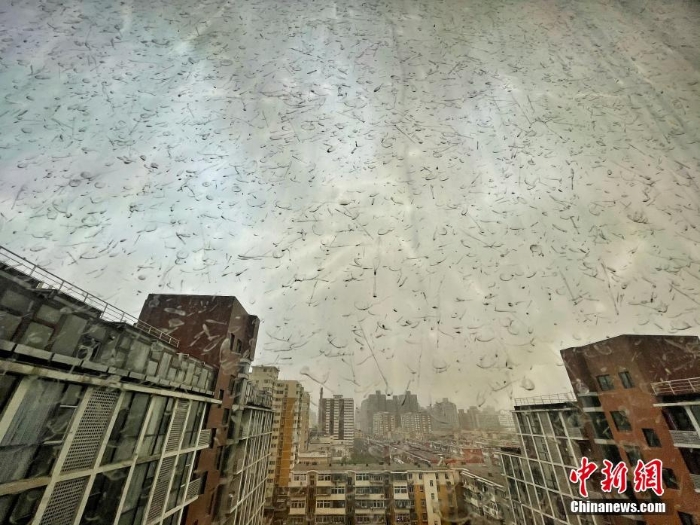 北京迎沙塵大風天氣 “泥雨”從天而降