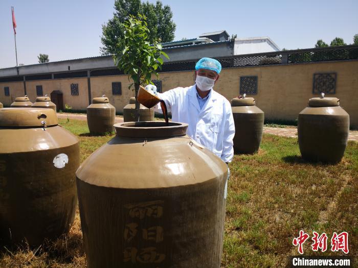 圖為釀醋手藝人在查看醋壇中的曬醋。 李洋 攝