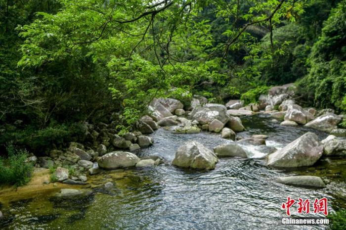 圖為海南熱帶雨林國(guó)家公園體制試點(diǎn)區(qū)吊羅山片區(qū)南喜峽谷內(nèi)的河流。 駱云飛 攝