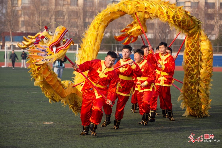 龍騰獅躍迎新年