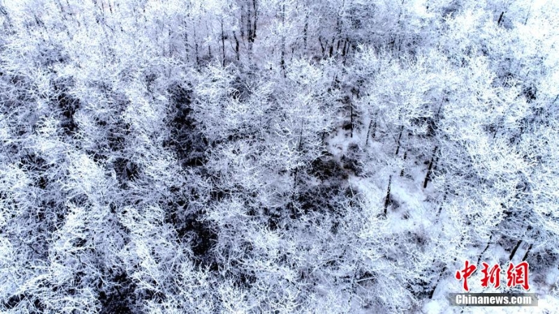 甘肅定西現(xiàn)霧凇美景 黃土塬似“瓊樓玉宇”