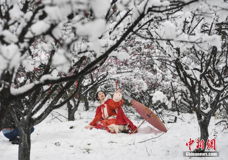 瑞雪兆豐年 一起去看南方雪中美景