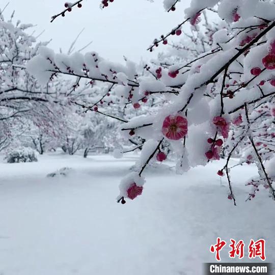 安徽近70家旅游景區(qū)因雪天臨時(shí)關(guān)閉