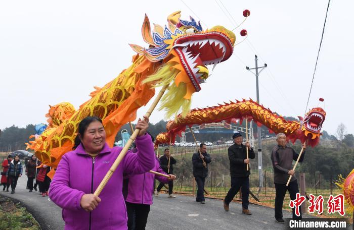 迎二月二“龍?zhí)ь^”重慶村民菜花地舞龍祈福