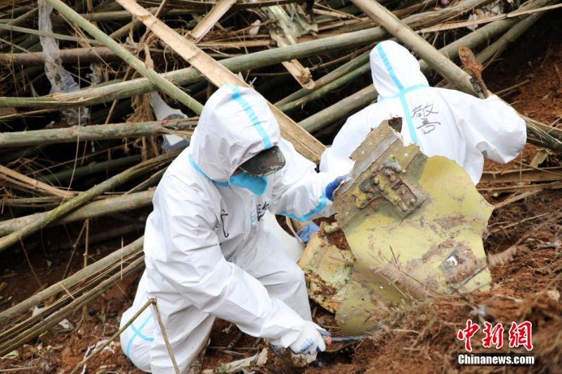 東航墜機(jī)救援現(xiàn)場：武警官兵分批次、分區(qū)域搜索