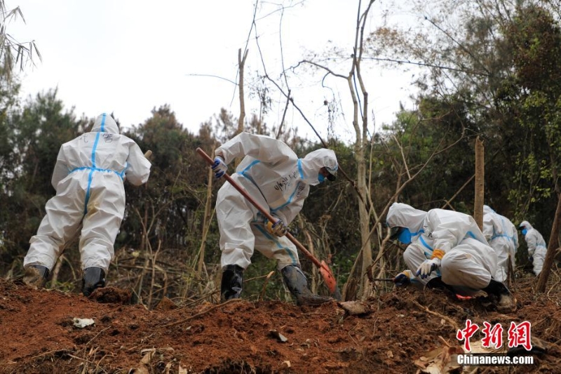 東航墜機(jī)救援現(xiàn)場：武警官兵分批次、分區(qū)域搜索