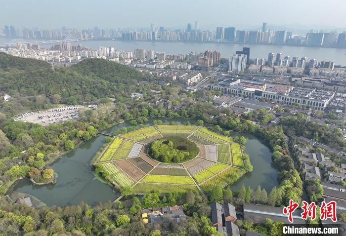 圖為：航拍錢塘江邊的八卦田遺址公園。(無人機照片) 王剛 攝