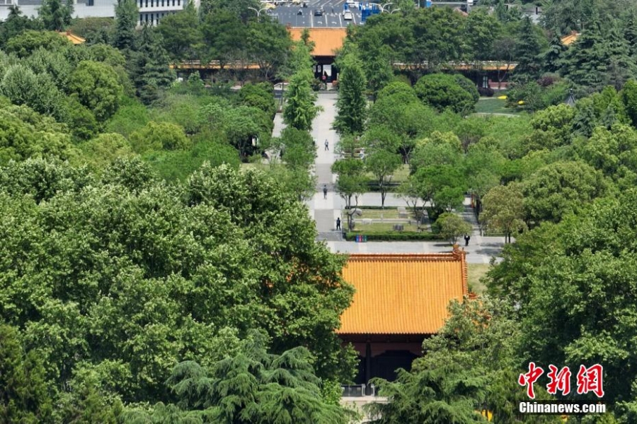 航拍南京明故宮遺址 寬闊大氣見證昔日歷史