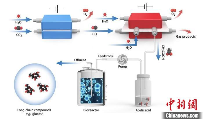 中國科學(xué)家再次實現(xiàn)二氧化碳“變廢為寶”：還原合成葡萄糖和油脂