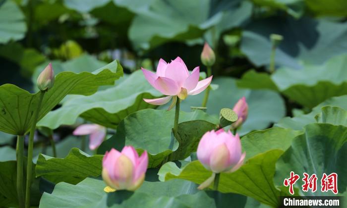 點(diǎn)擊進(jìn)入下一頁(yè)