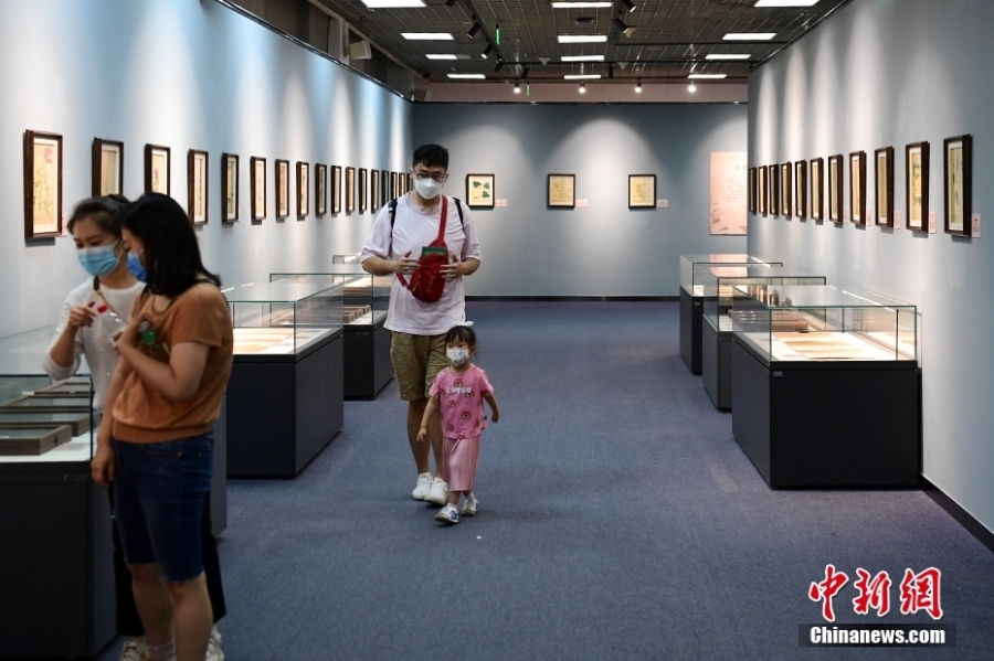 “科學(xué)與藝術(shù)——科學(xué)畫與生物標(biāo)本展”在北京自然博物館開展