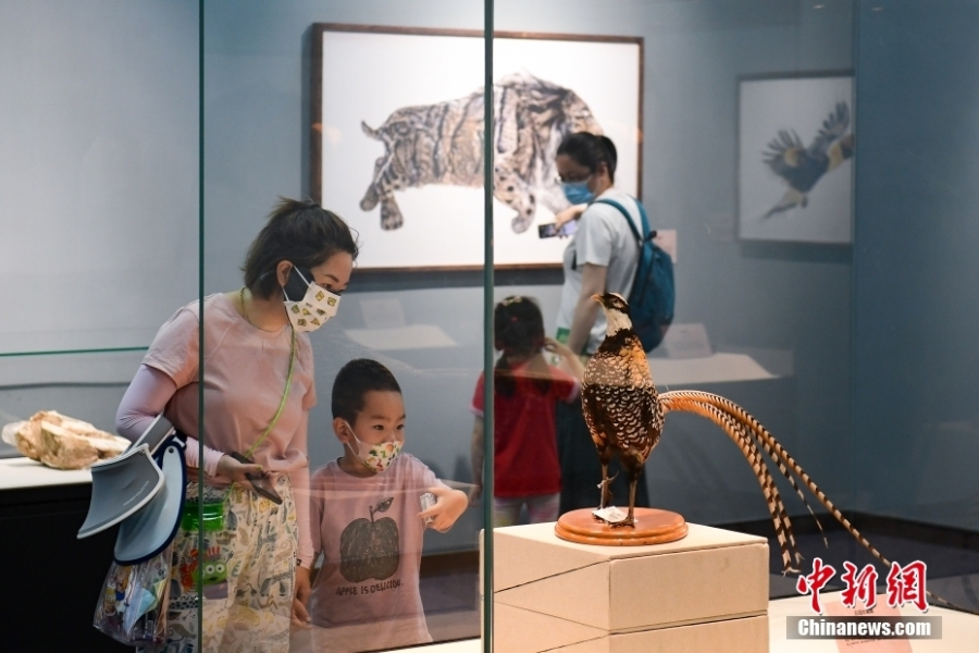 “科學(xué)與藝術(shù)——科學(xué)畫與生物標(biāo)本展”在北京自然博物館開展