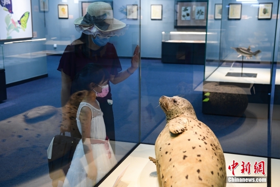 “科學(xué)與藝術(shù)——科學(xué)畫與生物標(biāo)本展”在北京自然博物館開(kāi)展