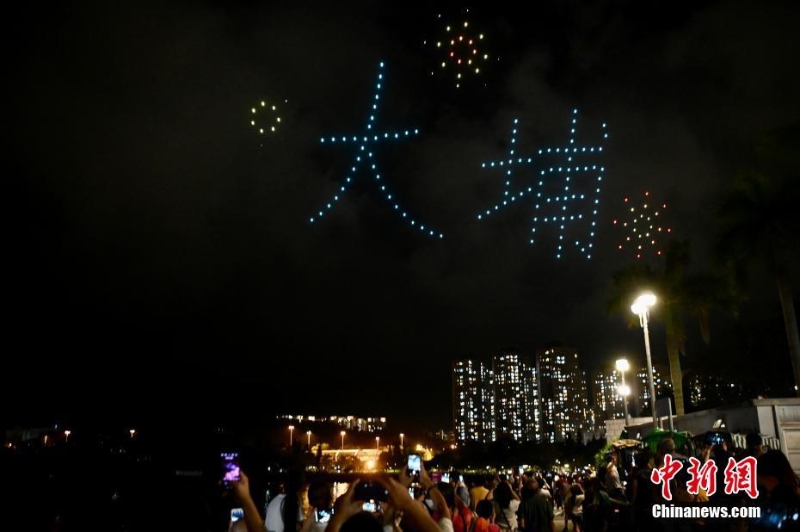 香港大埔海、陸、空匯演慶回歸