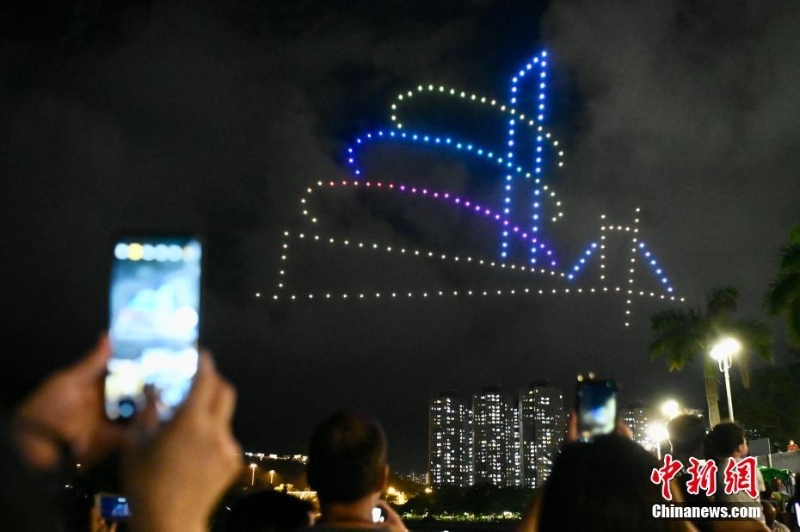 香港大埔海、陸、空匯演慶回歸