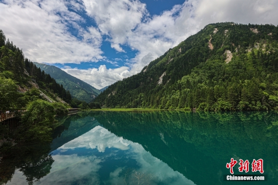 夏日九寨溝山風(fēng)水韻 自然純凈宛如童話世界