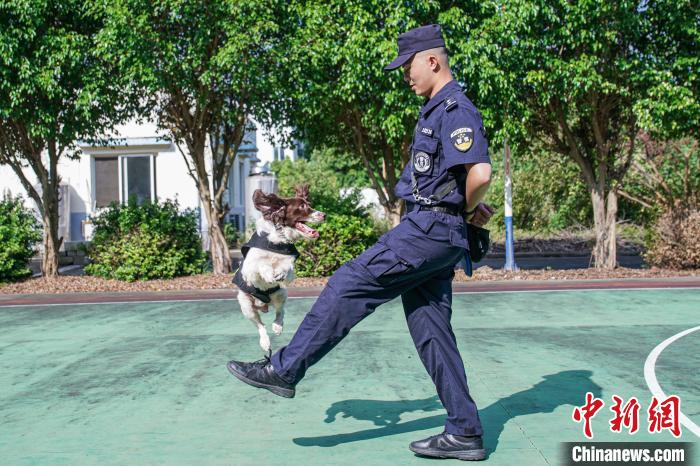 廣西南寧鐵路警方高溫天氣堅持訓犬確保暑運安全