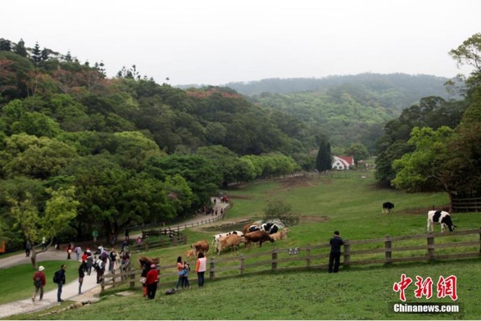 資料圖：臺灣休閑農(nóng)業(yè)、鄉(xiāng)村旅游名點——苗栗飛牛牧場。陳立宇 攝