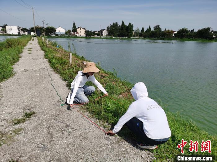 高校師生普查浙江24個縣市區(qū)發(fā)現(xiàn)165種外來入侵植物