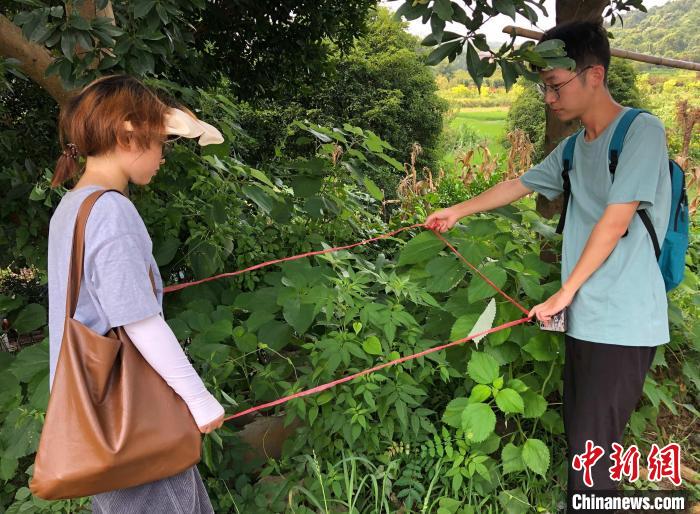 師生在普查外來入侵生物 林萱 攝