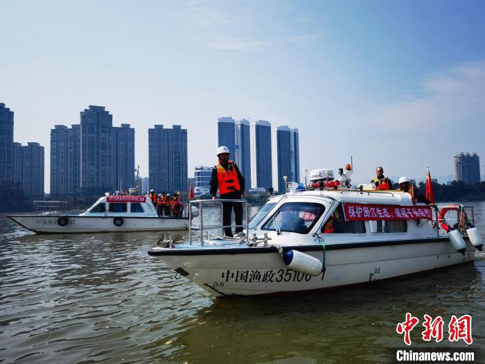 福建省海洋與漁業(yè)執(zhí)法部門在閩江流域加強執(zhí)法巡查?！「＝ㄊ『Ｑ笈c漁業(yè)執(zhí)法總隊 供圖