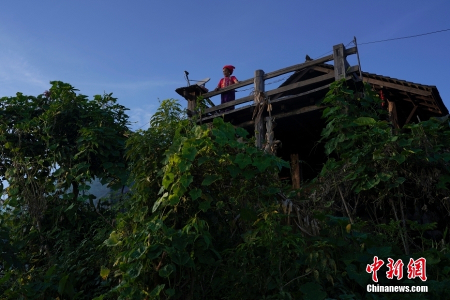 探訪云南景邁山中的“千年布朗古寨”