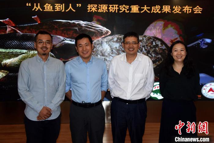 中科院古脊椎所研究團(tuán)隊(duì)代表朱幼安副研究員、蓋志琨研究員、朱敏院士、盧靜研究員(從左至右)合影。　<a target='_blank' href='/'>中新社</a>記者 孫自法 攝