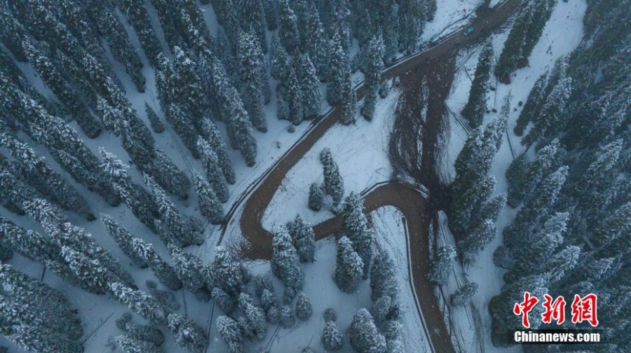 新疆喀拉峻草原深秋雪景美如水墨畫(huà)