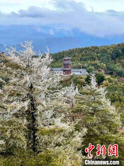 10月4日，泰山之巔現(xiàn)霧凇奇觀，冰雕玉砌、晶瑩閃爍的霧凇綴滿枝頭，一樹樹、一叢叢，甚是好看?！±捉?攝