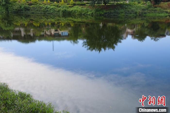 重慶兩江新區(qū)的肖家溝水庫是嘉陵江水系跳墩河的源頭，如今已打造成魚翔淺底的生態(tài)之湖?！×簹J卿 攝