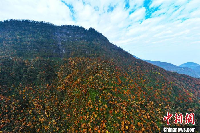 色彩斑斕的瓦屋山。　劉忠俊 攝