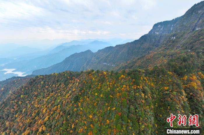 美不勝收的瓦屋山秋景?！⒅铱?攝