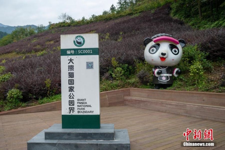 瓦屋山大熊貓國家公園博物館即將開放