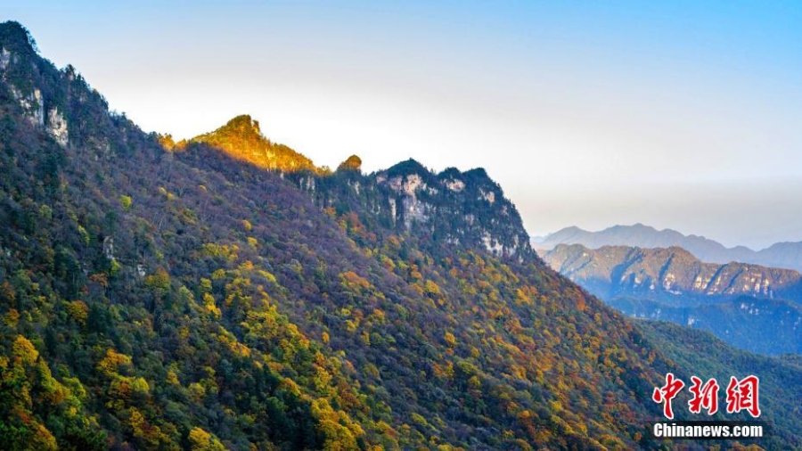 湖北神農(nóng)架迎賞秋“黃金期” 山川峽谷秋意十足