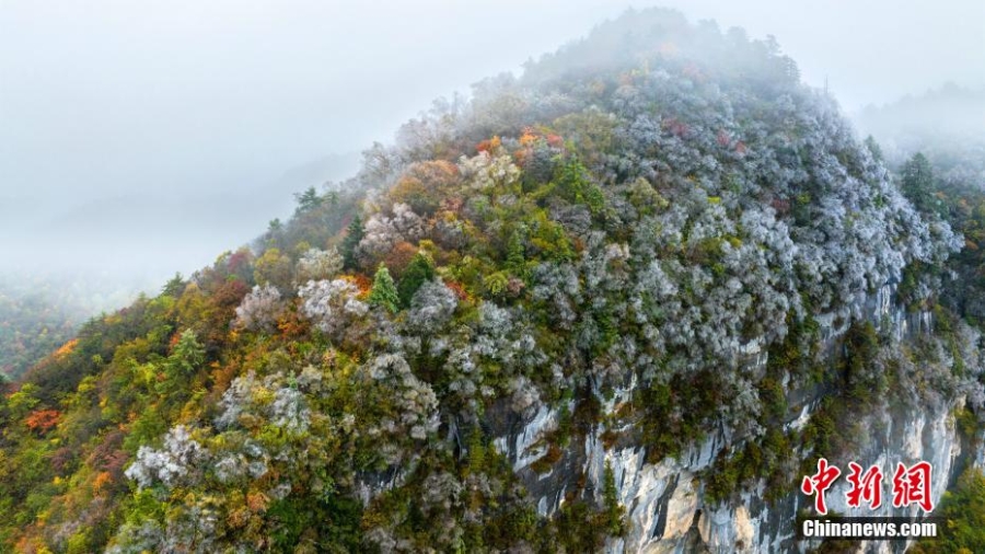 湖北神農(nóng)架迎賞秋“黃金期” 山川峽谷秋意十足