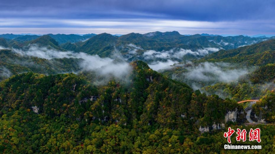 湖北神農(nóng)架迎賞秋“黃金期” 山川峽谷秋意十足