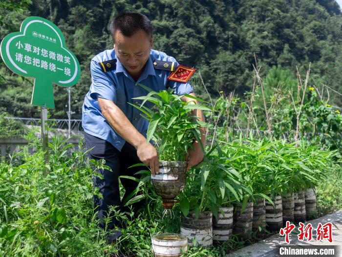 圖為改為無人值守前，員工在打理種植的蔬菜。　鮮聯(lián)平 攝