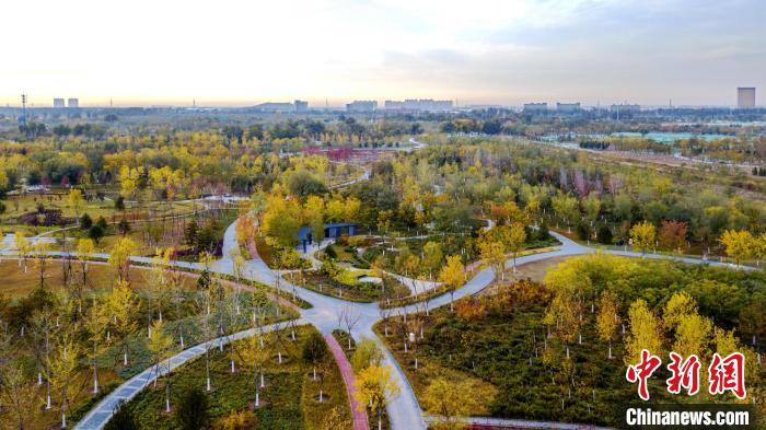 圖為北京通州城市綠心森林公園。　北京市園林綠化局供圖