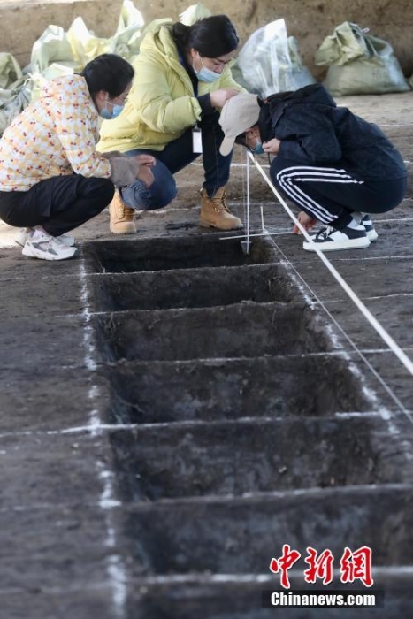 圓明園考古發(fā)掘揭露出“田字房”和皇家稻田遺址