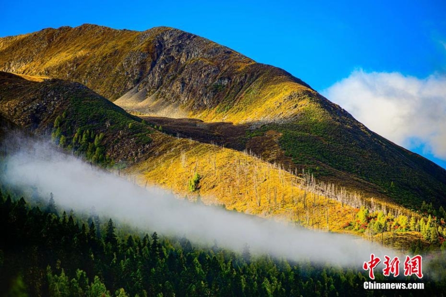 四川壤塘：雪山、彩林、藏寨美如仙境