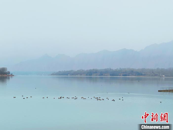 “河區(qū)”變“景區(qū)”青海高原水車村鄉(xiāng)村振興見聞