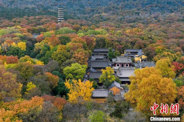 鐘山風(fēng)景區(qū)靈谷寺掩映在樹木中?！°蟛?攝