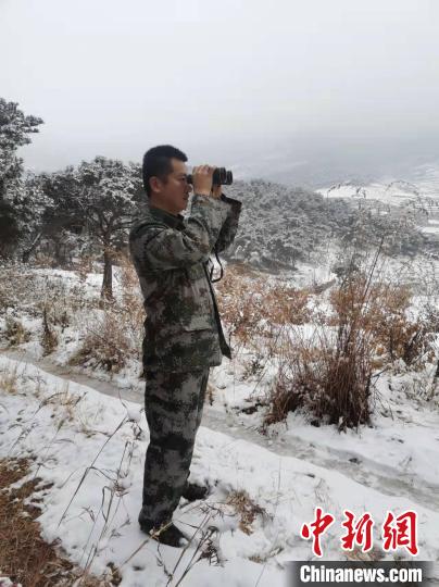 資料圖：大雪封山，護林員堅持巡查，避免積雪壓折樹木 泰安市委宣傳部供圖