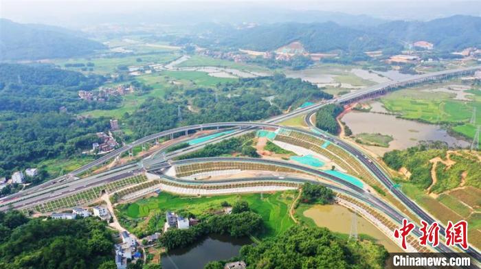 圖為信梧高速古塝互通。　陸江鴻 攝