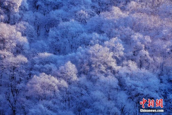 資料圖：圖為甘肅平?jīng)鲫P(guān)山雪景。李靖 攝

