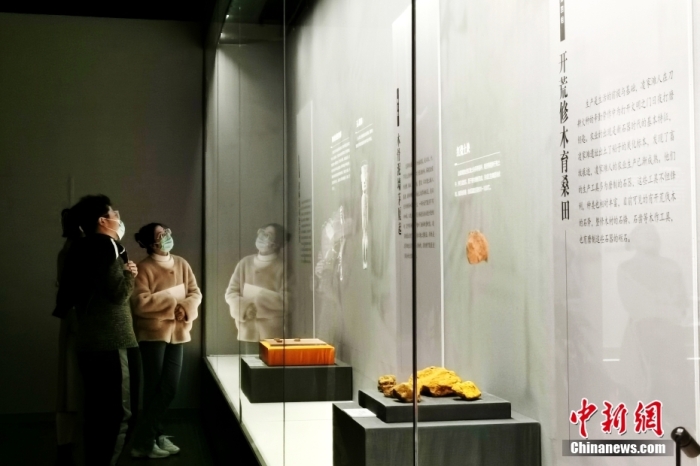 圖為市民在參觀展覽。 <a target='_blank' href='/'>中新社</a>記者 張強(qiáng) 攝