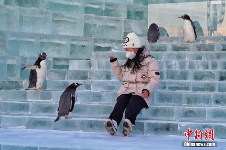 哈爾濱冰雪大世界開(kāi)門(mén)迎客