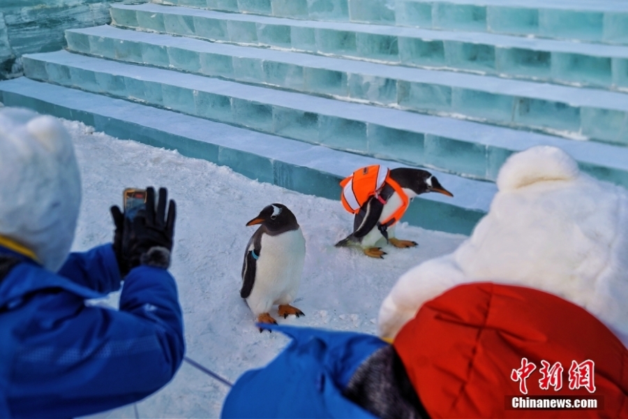 哈爾濱冰雪大世界開門迎客