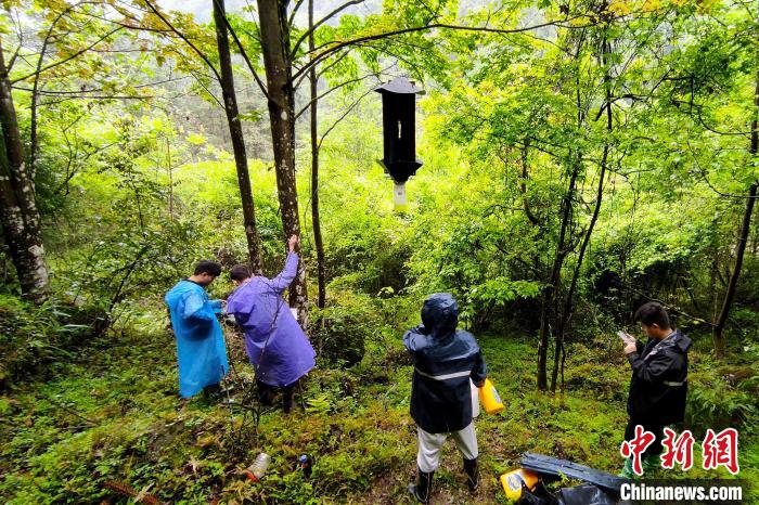 “千園之城”貴陽(yáng)生物多樣性維持在較高水平